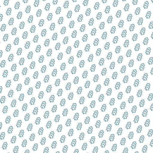 Eguneroko irratsaioa 2025-11-19 09:45