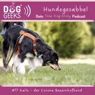 #77 True Dog-Story „Kalle - der Corona Bauernhofhund“