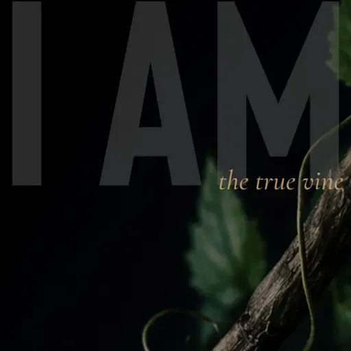 I AM: the true vine (Ray Booysen)