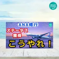 【ANA ステータス 修行】考え方とやり方、あり方を問う
