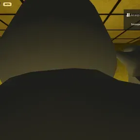 Snooper