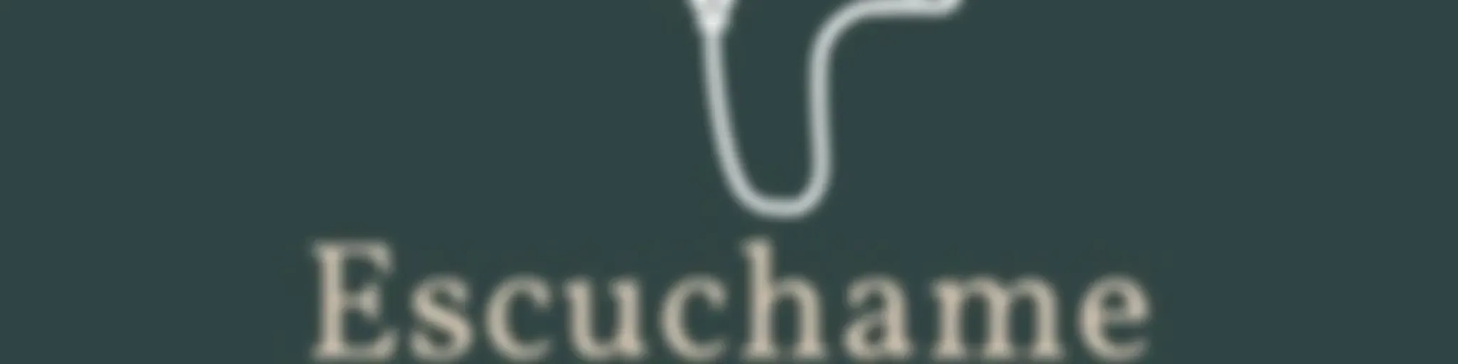 Escuchame No Me Oigas