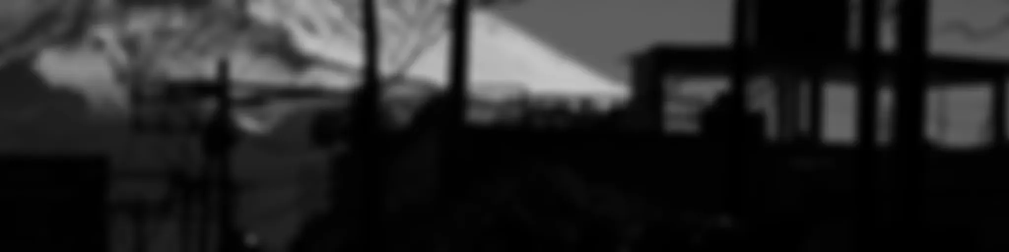 Organización y Sociedad