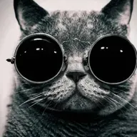 Ceelux Angry Cat - Thank God It's Saturday 21 May 2022