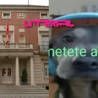 La Moncloa se ha hecho canal de TikTok