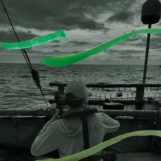 Hawai‘i: Yo-Yo Ma and the Whales