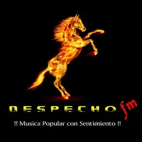 Despecho FM