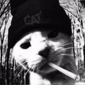 ZiroFMChill