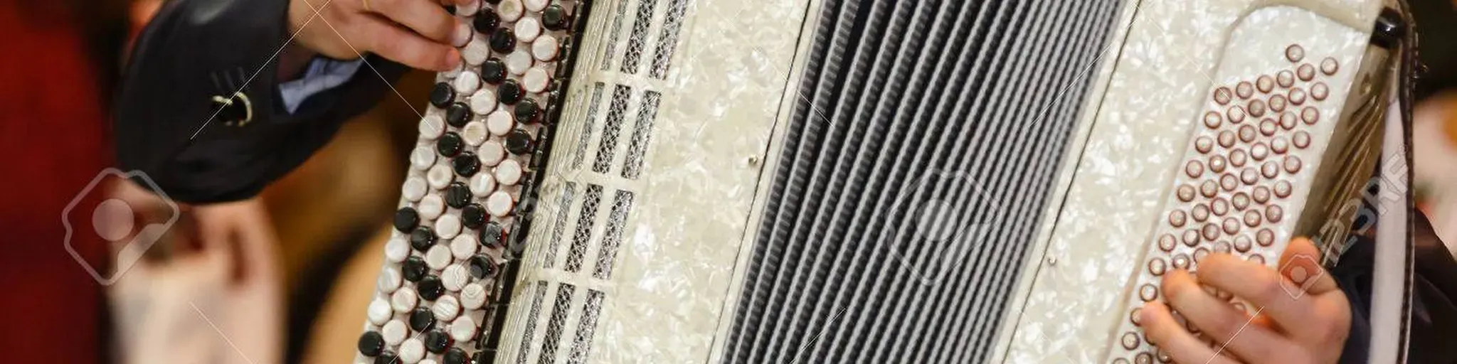 Acordeonica
