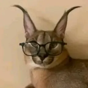 1LEC4ROS1