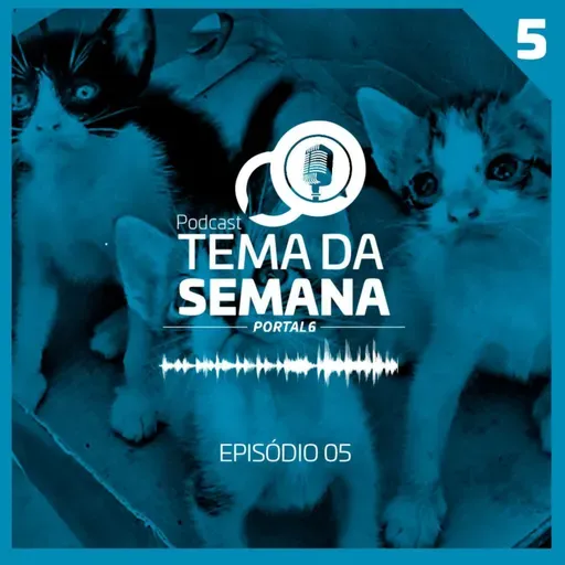 Tema da Semana #5: Aumento no abandono de pets expõe falta de políticas em Goiânia