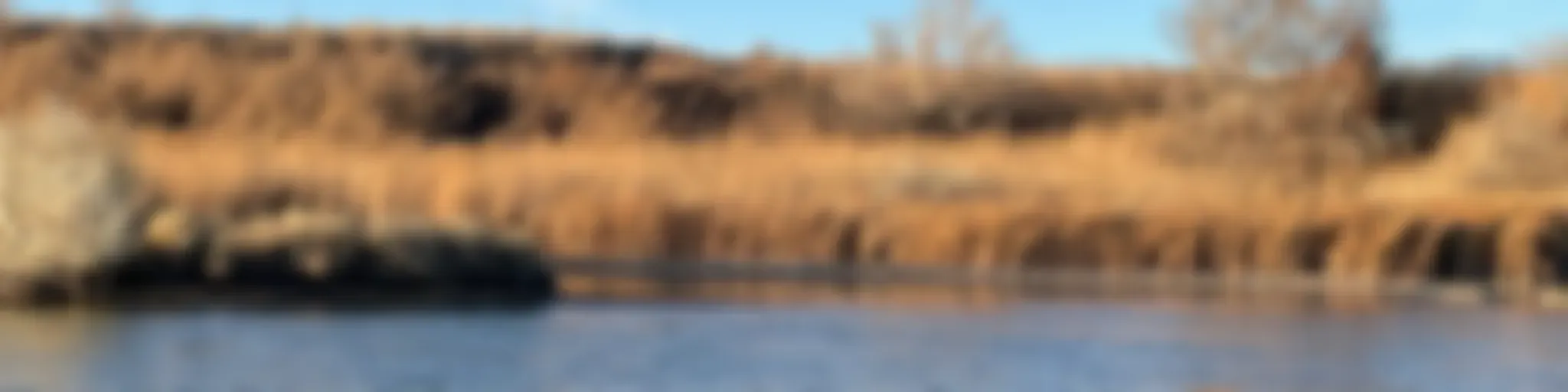 The Long Haul with The Articulate Fly