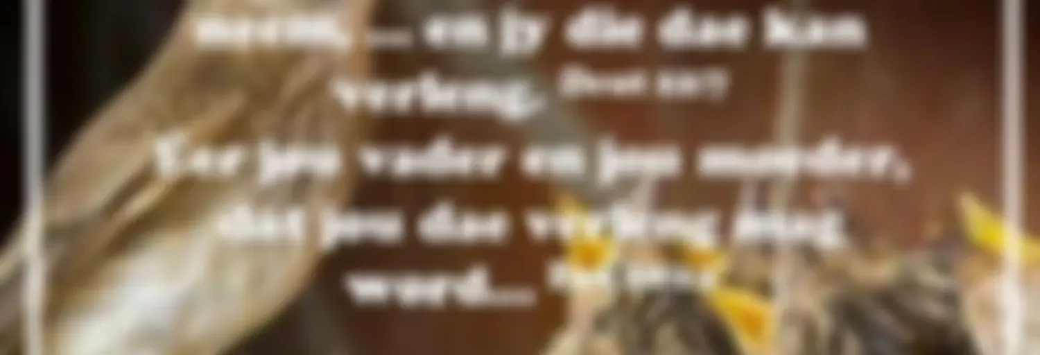 Parashat Ki tetze