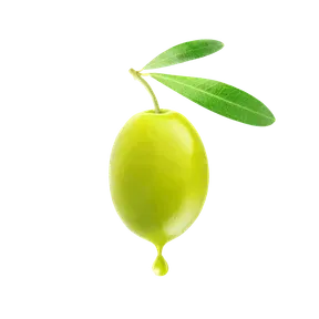 Olive Tree Christian Ministries