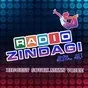 Radio Zindagi - WXMC