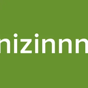 vnizinnnn