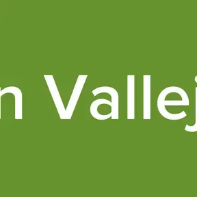 ReaLyn Vallejo Test