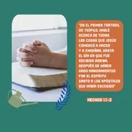 70 Reflexiones - ¿Cuál es la base de la fe Cristiana? (Hechos 1.1-2)
