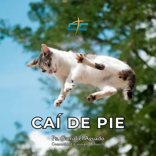 Caí de Pie