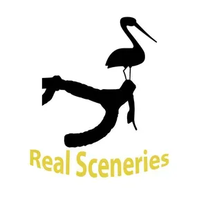 Real Sceneries Live Radio