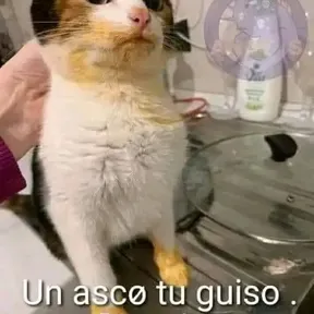 El ratito de la url