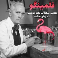 قسمت نودم - مقالات هفته سوم مرداد 1401