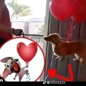 Los pp