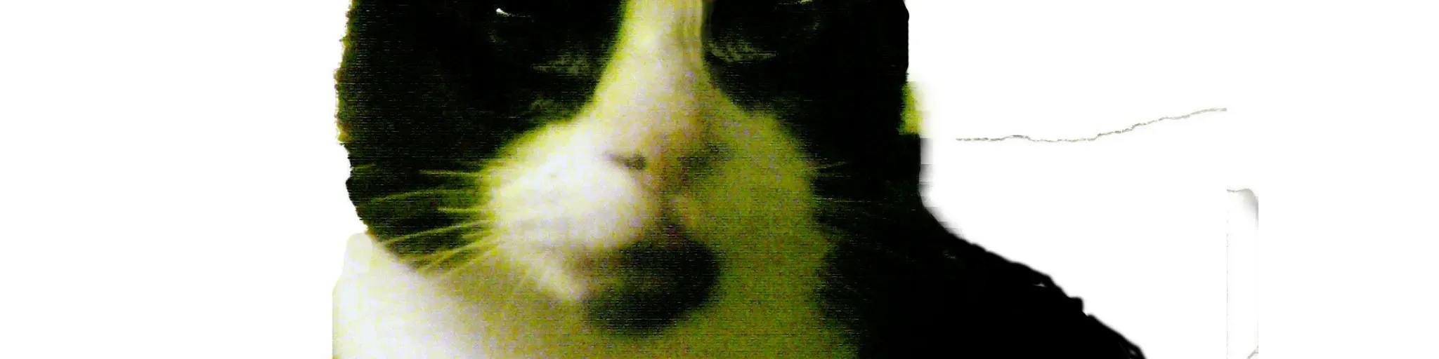 AN RadioCatSaver