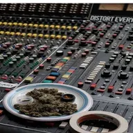 S3 E43 - The Say No Show: Steve and Jeff Talk About Drugs and Sex