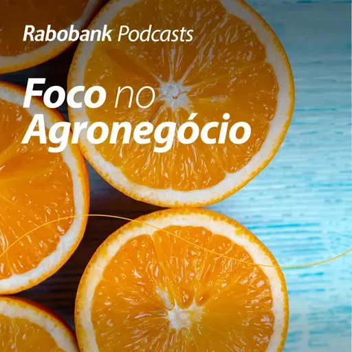 Perspectivas 2026 | Suco de laranja
