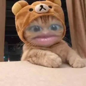 Amoralamusica