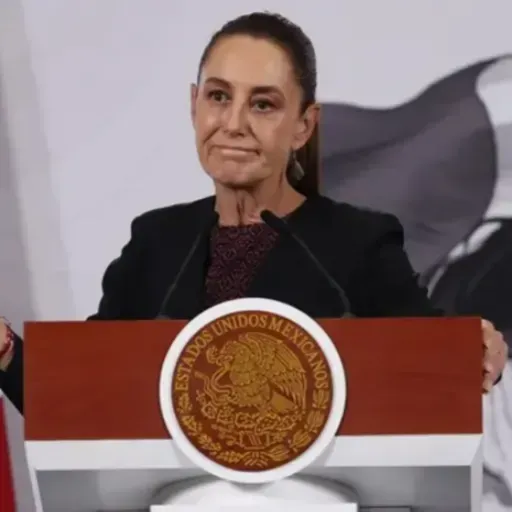 ¿Fue la Reforma Electoral una derrota para la presidenta?