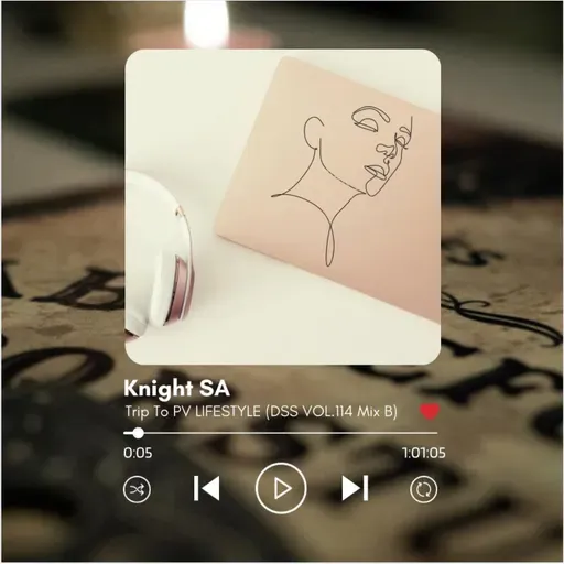 Knight SA - DSS VOL.114 MIX B (TRIP TO PV LIFESTYLE II)