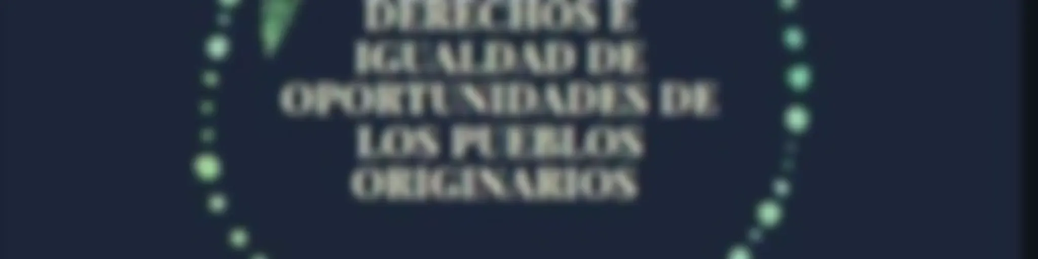 " derechos e igualdad de oportunidades de los pueblos originarios"