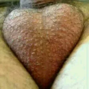 kinkajumil