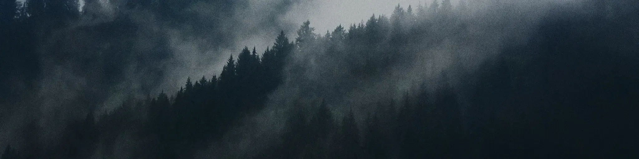Dmitri Matheny Radio