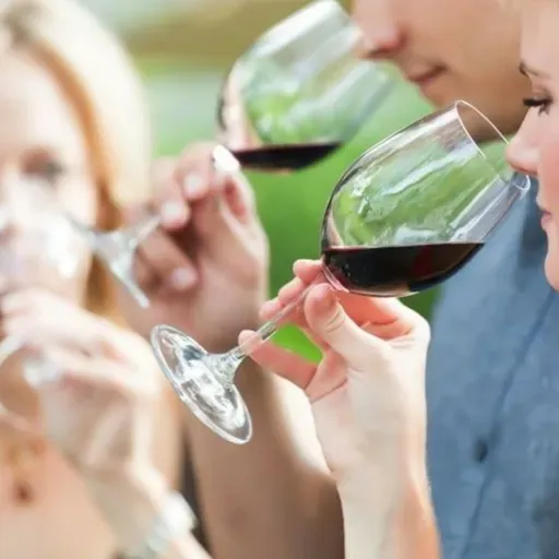 Guía de vino. (Aroma, intensidad y notas)