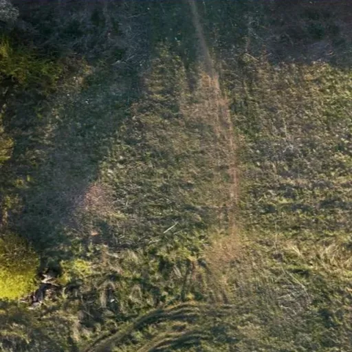 El magma que bullía bajo el coso franquista. (Seguimos con C. M. Gaite)