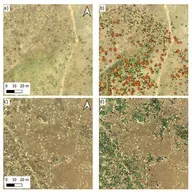 Ep. 544 - Helping Move the Needle on Sagebrush Restoration