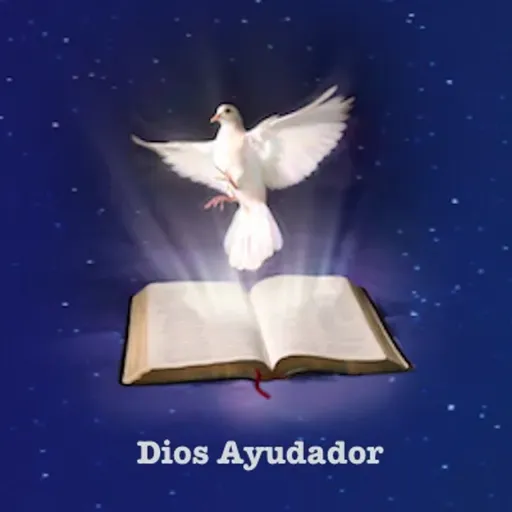 HAGASE TU VOLUNTAD #14