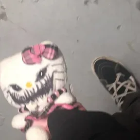 songs  bitches kitty