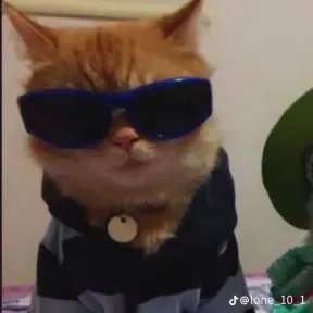 Siuuuuu