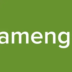 Flamengorj
