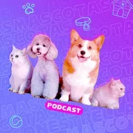 Cuidado de mascotas: ¡Momentos inolvidables!
