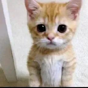 temitaaa