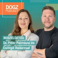 Ezek a legjellemzőbb otthoni balesetek, van, ami halálos is lehet