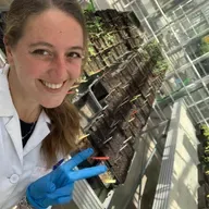 El objetivo de la investigadora Nazaret Romero: localizar la lenteja más resistente al cambio climático para cultivarla en la cuenca mediterránea