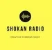 Shokan Radio