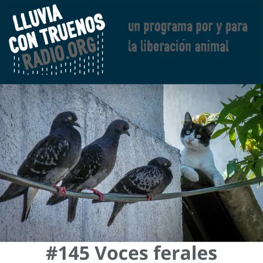 #145 Voces Ferales