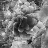 The Dark Room: Kenan Meral Talks Mishima